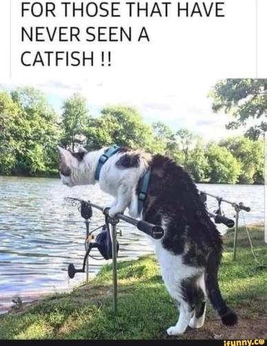 dcc28f9ed4cf09e68ca4d1ed583981f90df0ad96eb95ea23dd73eaa0b69f02cf_1