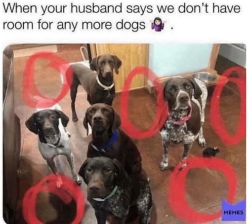 eda2c38c5eef398b4b087ad5afe6e0a0