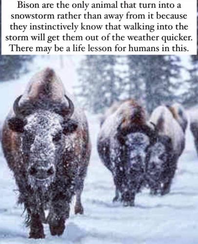 828e5f1d-6660-43f8-ab4f-afe80464c2fd