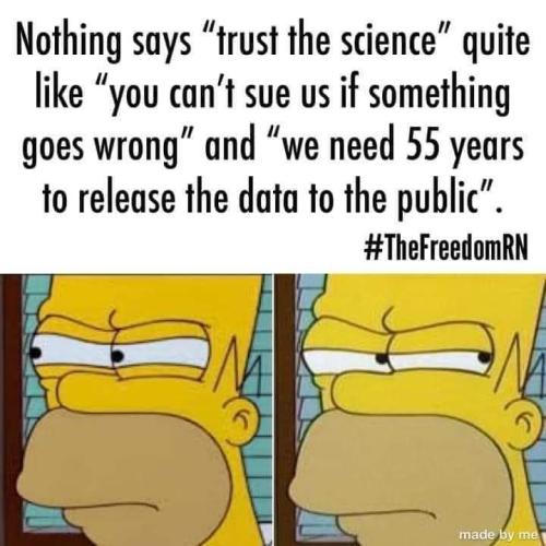 FB_IMG_1701427271187