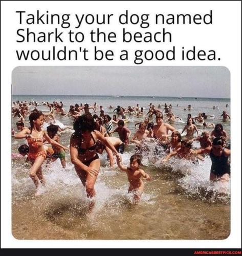 47839e7d6570539021136c352e754a40ea4778810f56b320792382a6a373ad9a_1