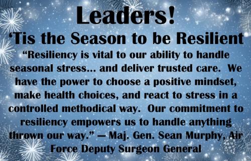 1-Leaders - Tis the Season for Resilience