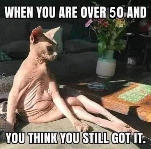 c7063d1699eaf5ca7635a0ce9535365e