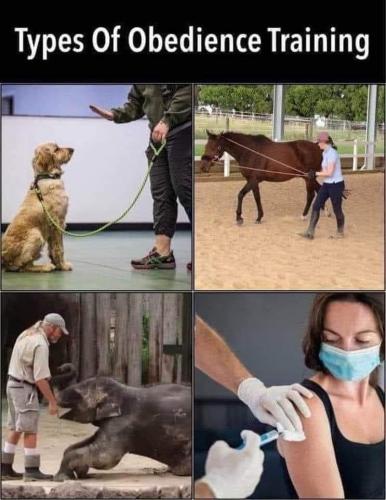 FB_IMG_1702156906846