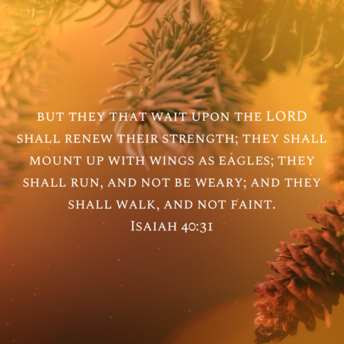 10:37:23 GMT-0500 (Eastern Standard Time).image