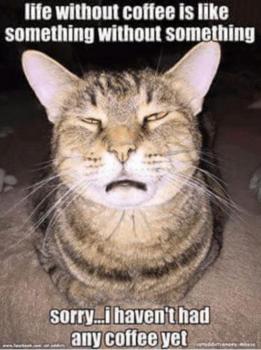 c360a26b6e29f838bb97a285371ed99b