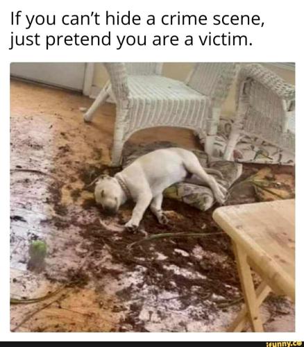 f4c1a512072abfbe57c2b7f7d0d2c0dc