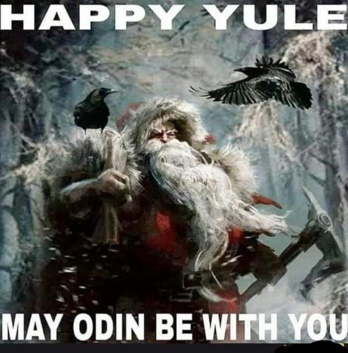 orca-image-177323041