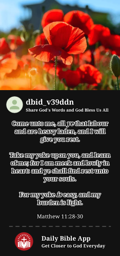 2023-12-201703064802378