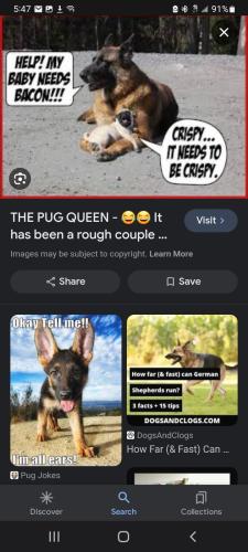 Screenshot_20231231-054701_Google