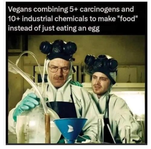 FB_IMG_1703815932045