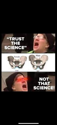 FB_IMG_1702655370119