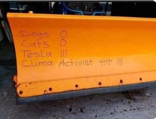 409927842_891264509039337_5680867084621543118_n