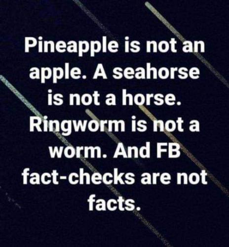 FB_IMG_1701578976745