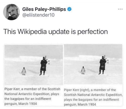 update  is perfection