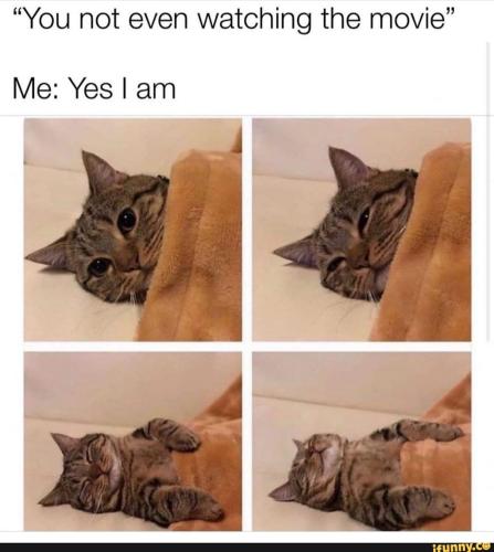 0f8920591acddfa367e8292200455b09