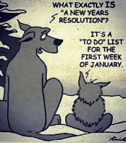 new-year-resolution-meme-january