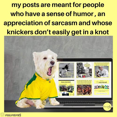 sense of humour