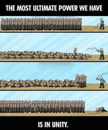 FB_IMG_1701290947453