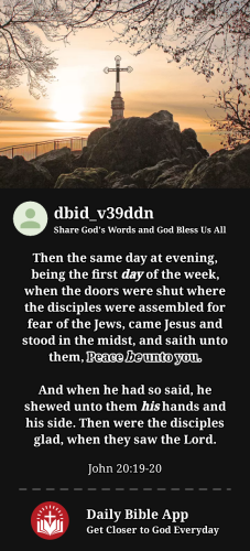 2023-12-021701569180278