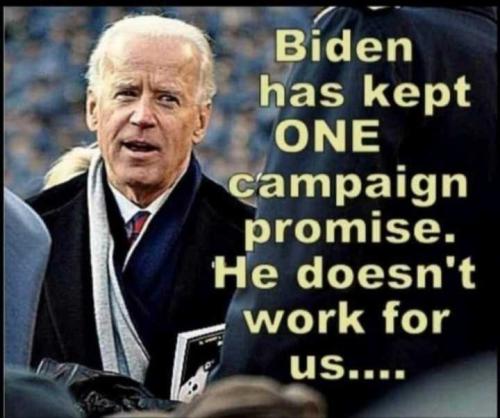 54966174-cb7b-4890-a768-9a1215d331f4