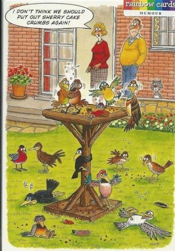 412605370_376073098159118_7820851544640513029_n