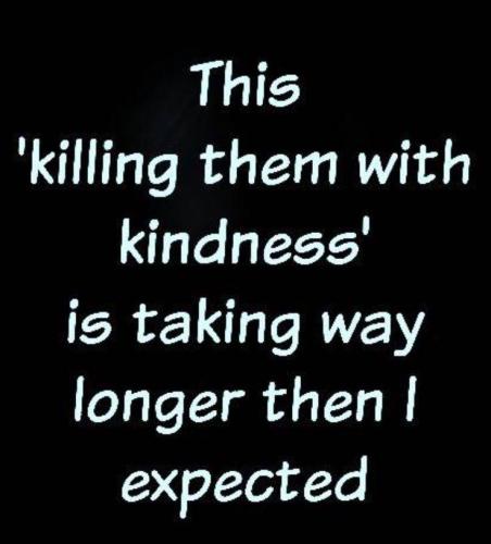 sngine_1f16082e203de7aecbd201657aa2112a