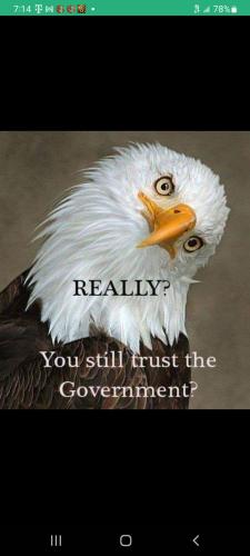 Screenshot_20231214-173053_Gallery