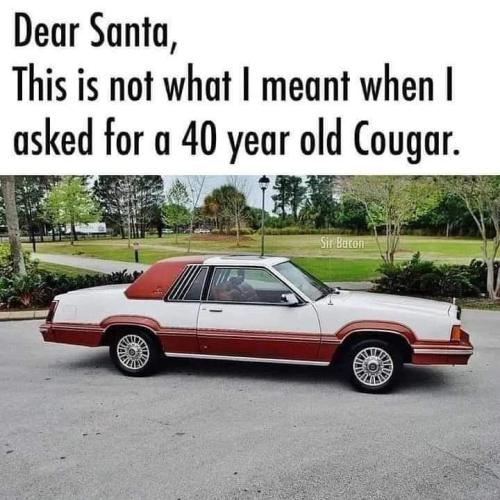 FB_IMG_1703243220221