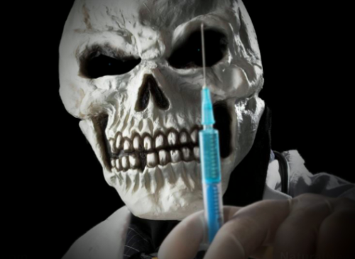 Screenshot_20231206-093553~2