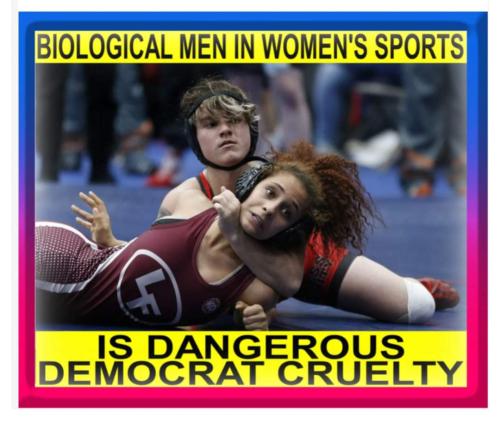 FB_IMG_1703121388456