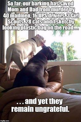 cef26a8818ad40cbc434d95936ceebf5