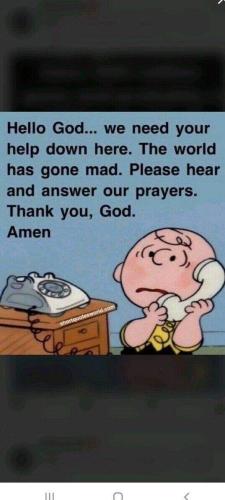 sngine_5888dc79b4f3746db46353c0020e28a4