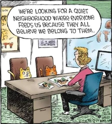 414639579_691166936535674_6660781073301609282_n