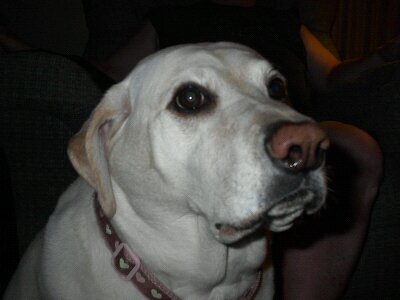 1307994019114 - Copy