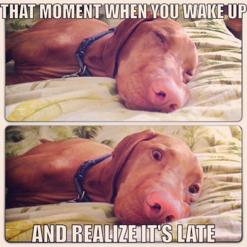 6a2a8407971eae096a752327f1307a5c