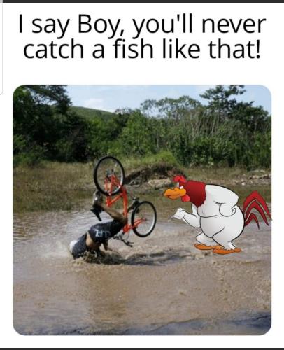 Screenshot_20231215-220732_MeWe