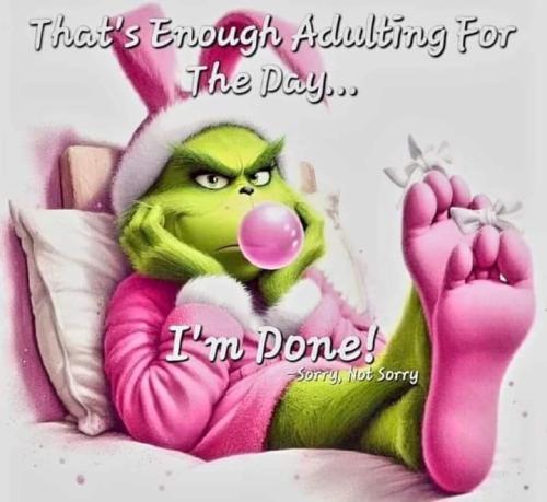 FB_IMG_1702246066778