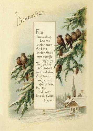 df335c9a1be7458e1f8b39f596c96f8e