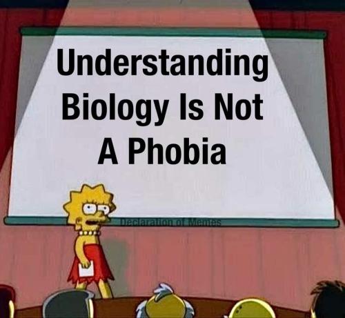 FB_IMG_1701865141608