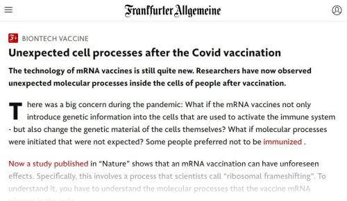 407687661_122106926576136466_7586137121652404697_n