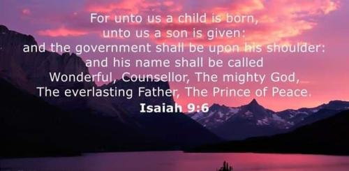 15efefce-3fbf-428a-a3a6-bb954a4dfc37