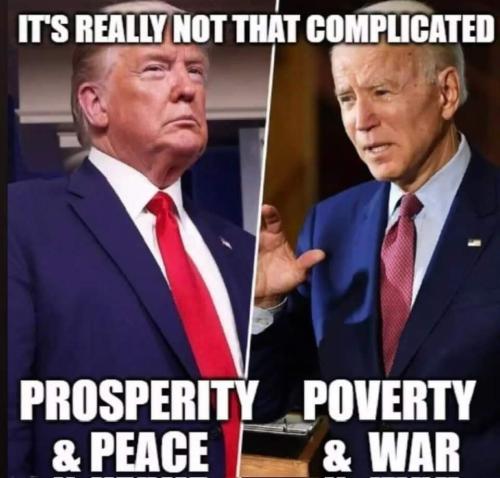 FB_IMG_1702135999380