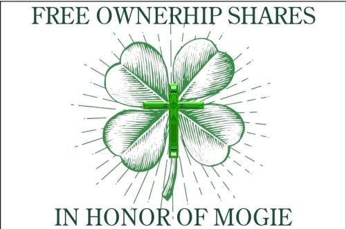 Help us Honor Mogie and Help His Family