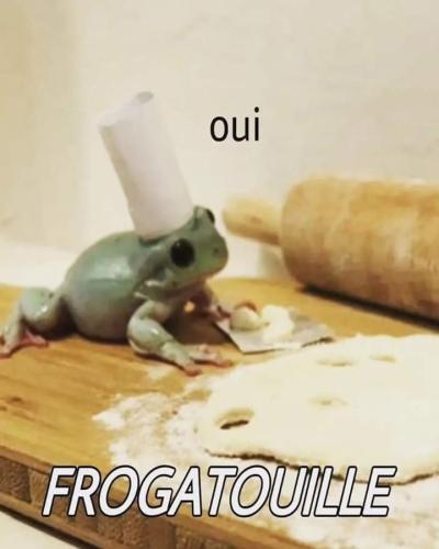 FB_IMG_1702495236625