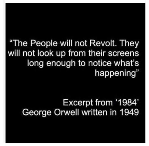 FB_IMG_1702905900362