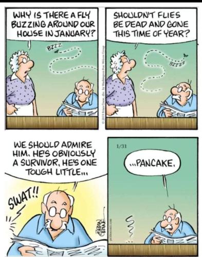 fly in January