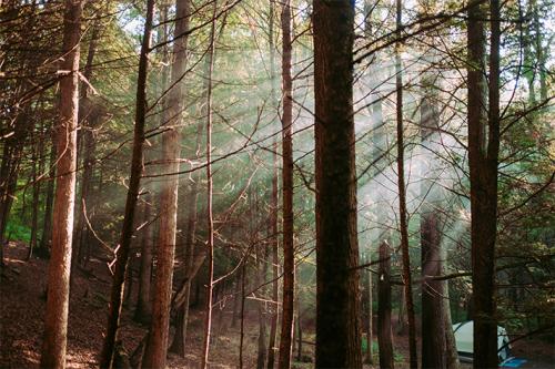 michael-mroczek-124413-unsplash-feature