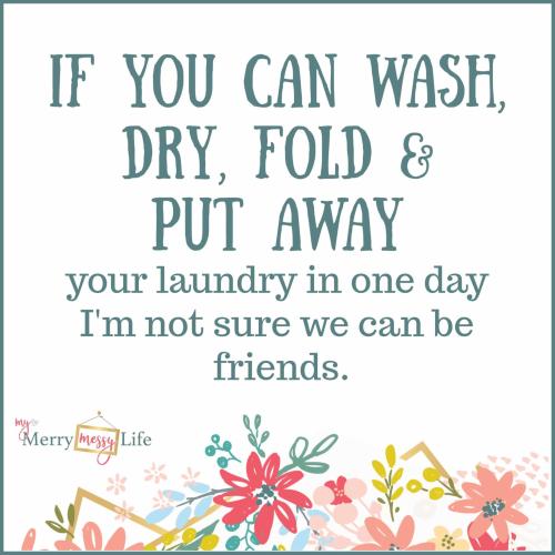 laundry-wash-dry-fold-friends