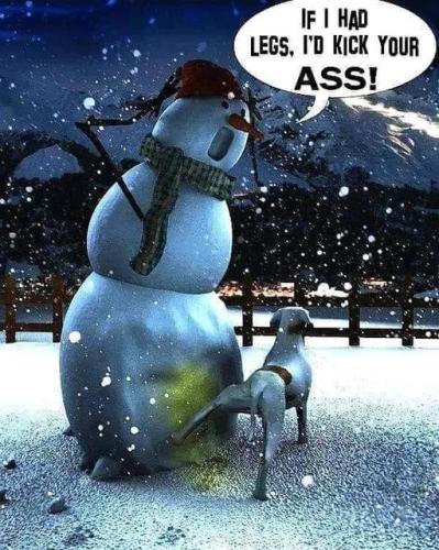 410923612_25106987002233677_6897342331277771206_n